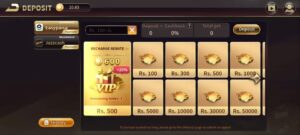 RoyalXCasino v3.36.6 Thorough overview 2